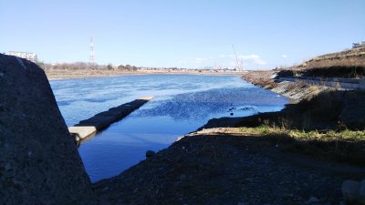 DSC 0196 1 400x225 【多摩川 バス釣り】ベイトリール飛距離計測中に、まさかの大物がヒット！｜釣行記2021 2月 P.02