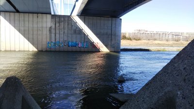 DSC 0197 1 400x225 【多摩川 バス釣り】ベイトリール飛距離計測中に、まさかの大物がヒット！｜釣行記2021 2月 P.02