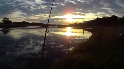【多摩川 バス釣り】初バス2021はミドストでデカバスがヒット|釣行記2021 4月 P.06 0409 03 400x225 【多摩川 バス釣り】初バス2021はミドストでデカバスがヒット|釣行記2021 4月 P.06