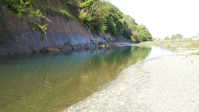 DSC 0345 400x225 【多摩川 バス釣り】増水して釣れそうなポイントが消滅｜釣行記2021 4月 P.08