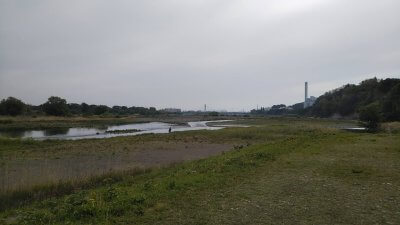 DSC 0349 400x225 【多摩川 バス釣り】4連チャン目のボウズは何投げてもお留守だったよう｜釣行記2021 4月 P.10