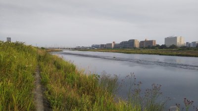 DSC 0372 400x225 【多摩川 バス釣り】F サンスン（ノリーズ）で小バスが1ヒット｜釣行記2021 6月 P.14