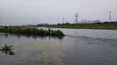 DSC 0383 400x225 【多摩川 バス釣り】人気ポイントに行った訳は雨だったから｜釣行記2021 6月 P.15