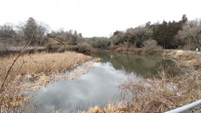 DSC 0067 400x225 千葉での初野池バス釣りは空振り・小櫃川（おびつがわ）ではノーバイト｜釣行記2022 3月 P.04