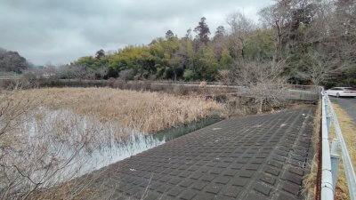 千葉での初野池バス釣りは空振り・小櫃川(おびつがわ)ではノーバイト|釣行記2022 3月 P.04 DSC 0073 400x225 千葉での初野池バス釣りは空振り・小櫃川(おびつがわ)ではノーバイト|釣行記2022 3月 P.04