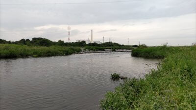 DSC 0190 400x225 【多摩川 バス釣り】筋書通りのプランがズバッと当たった沈み蟲｜釣行記2022 5月 P.11