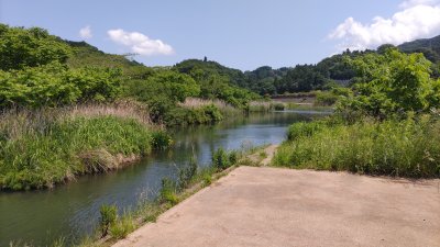 DSC 0198 400x225 【島田湖 バス釣り】カメカメ池は激スレの天才バスだらけ｜釣行記2022 5月 P.12