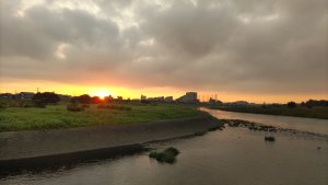 DSC 0516 300x169 【多摩川 バス釣り】引っ掛かったと思ったらあなたでしたか｜釣行記2022 P.23