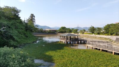 DSC 1190 400x225 静岡野池　バス釣りの下見　清水船越堤公園と麻機遊水地（アサバタユウスイチ）