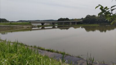 DSC 1275 400x225 【高滝湖 バス釣り】台風2号の影響で激濁り（泥水）だったけど楽しめた｜釣行記2023 P.08