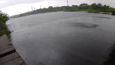 vlcsnap 2024 06 20 12h01m21s284 400x225 【多摩川 バス釣り】ウェーダー着てて良かった、曇りのちゲリラ｜釣行記2024 6月 P.07