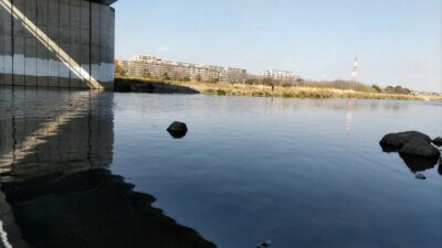 DSC 3461 400x225 【多摩川 バス釣り】2026年シーズンの開幕戦！春の息吹を感じるランガン｜釣行記2026 3月 P.01