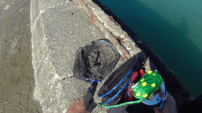 バス釣りロッドでかぶせ釣りをやってみたらやらかした|釣行記2026 9月 P.06 0922 01 400x225 バス釣りロッドでかぶせ釣りをやってみたらやらかした|釣行記2026 9月 P.06