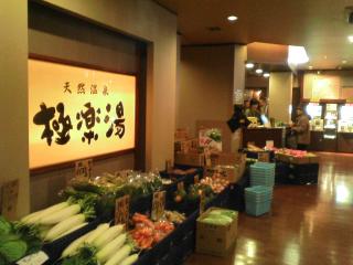 2010 0119 04s 極楽湯　多摩センター店　東京都多摩市　#017