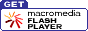 flash flash（フラッシュ）を導入