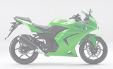 Ninja250